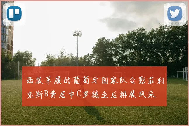 西装革履的葡萄牙国家队合影菲利克斯B费居中C罗稳坐后排展风采
