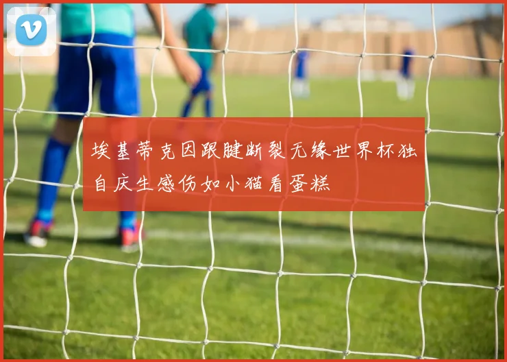 埃基蒂克因跟腱断裂无缘世界杯独自庆生感伤如小猫看蛋糕